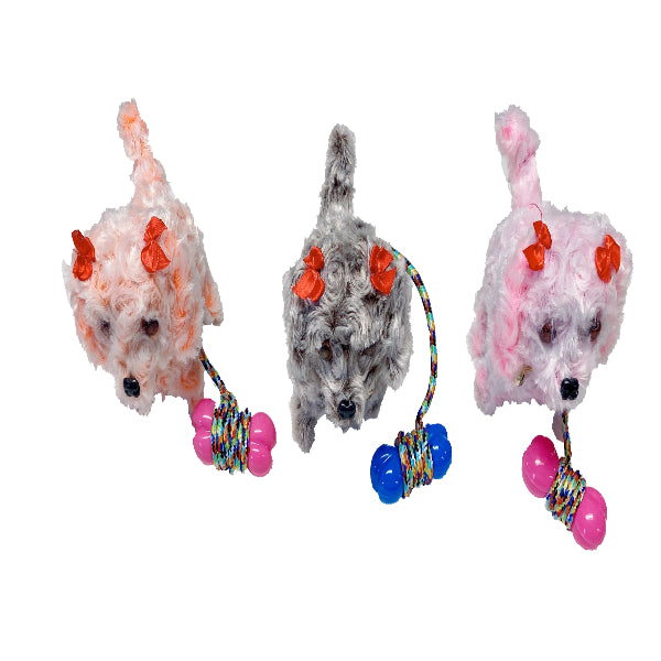 Walking Dog with Leash