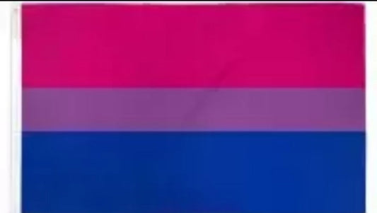 BISEXUAL PRIDE FLAG
